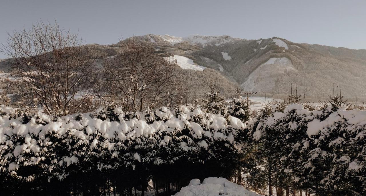 살펠덴암스타이너르넨미어 Bergblick 아파트 외부 사진